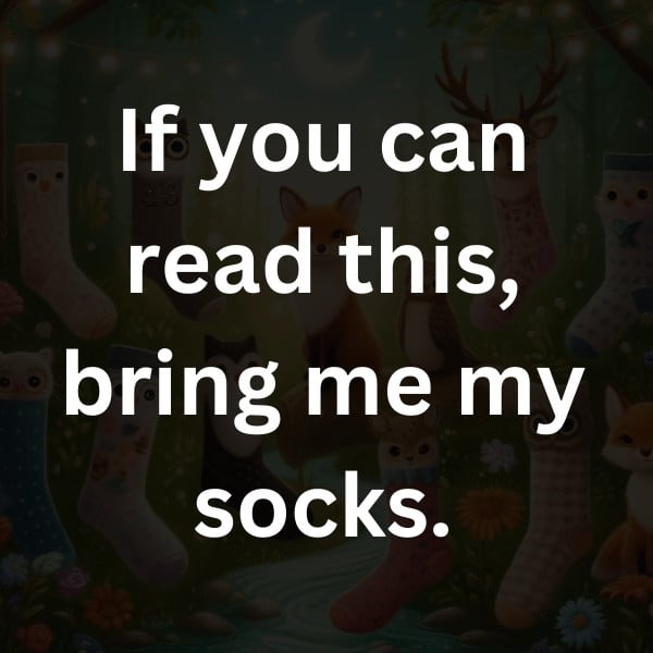 If you can read this, bring me my socks