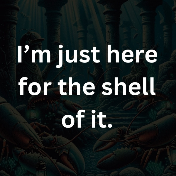 I’m just here for the shell of it