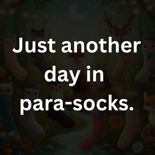 Just another day in para-socks