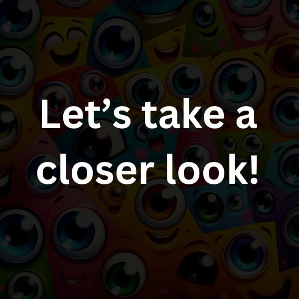 Let’s take a closer look!