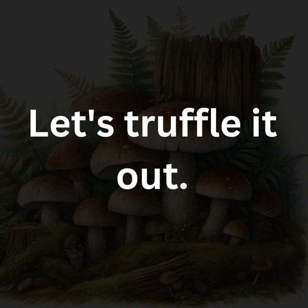 Let's truffle it out