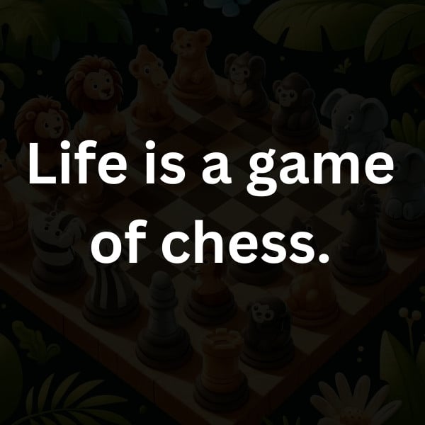 Life is a game of chess