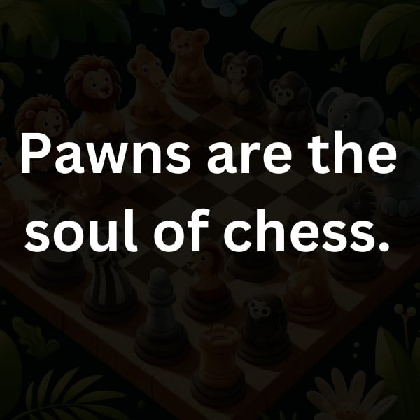 Pawns are the soul of chess