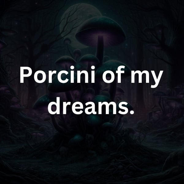 Porcini of my dreams