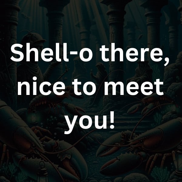 Shell-o there, nice to meet you!