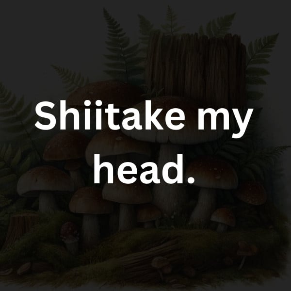 Shiitake my head