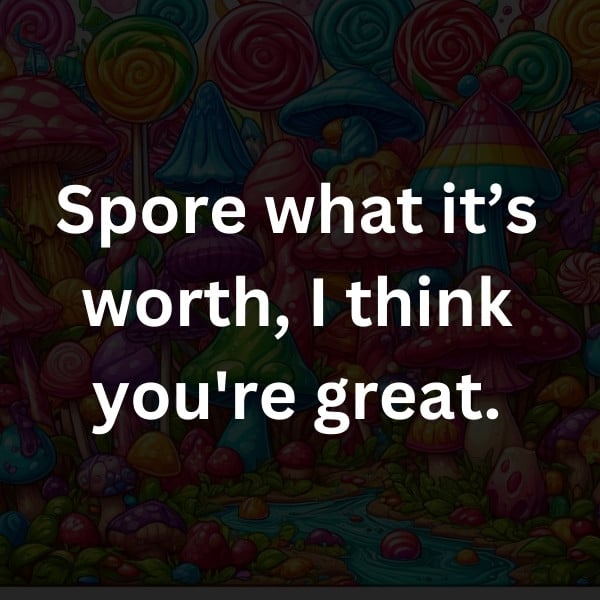 Spore what it’s worth, I think you're great
