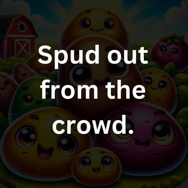 Spud out from the crowd