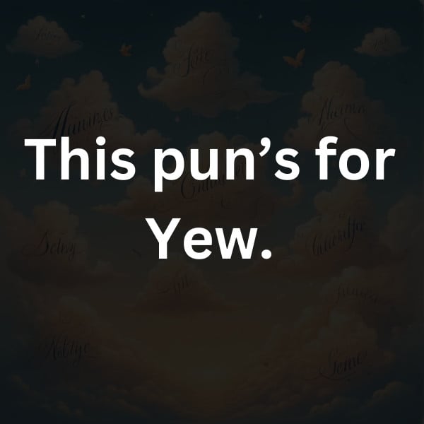 This pun’s for Yew
