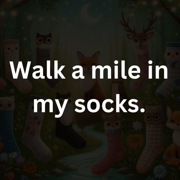 Walk a mile in my socks