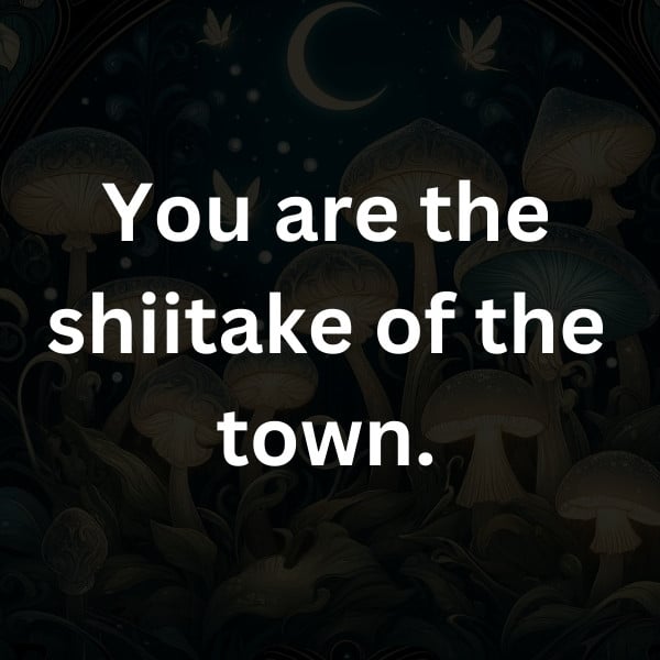 You are the shiitake of the town