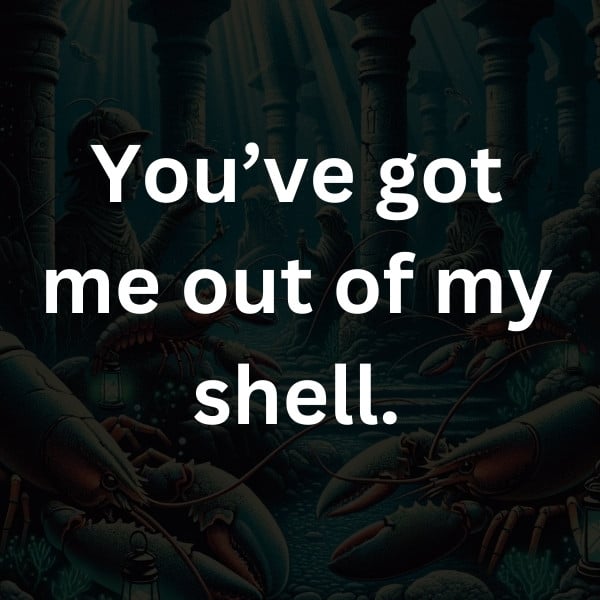 You’ve got me out of my shell