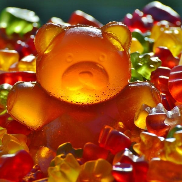 What do you call a bear with no teeth_ A gummy bear!