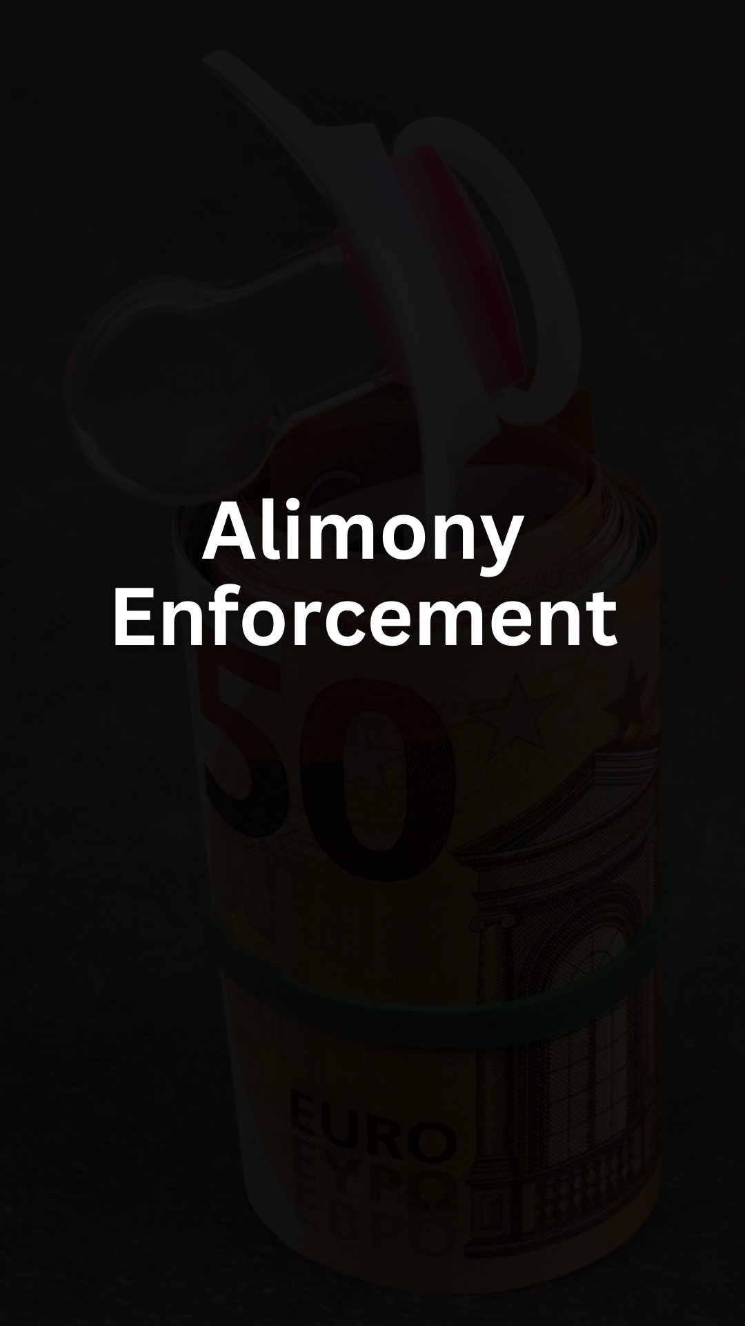 Alimony Enforcement
