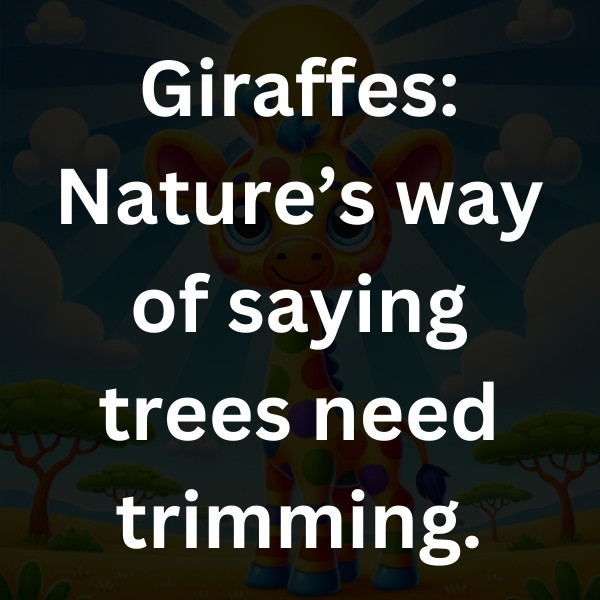Giraffes_ Nature’s way of saying trees need trimming