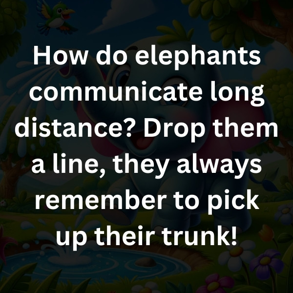 How do elephants communicate long distance_ Drop them a line, they always remember to pick up their trunk!