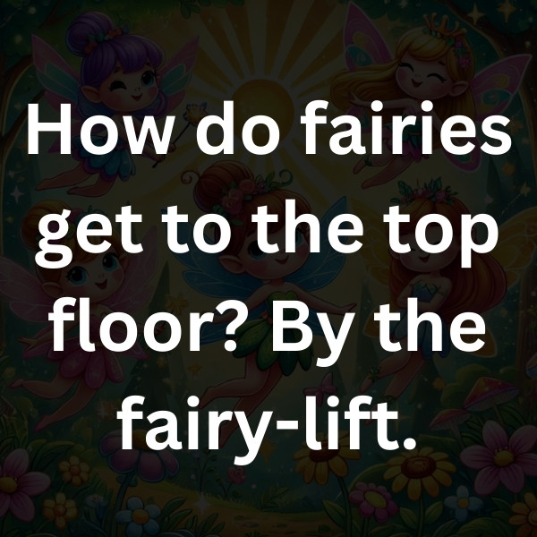 How do fairies get to the top floor_ By the fairy-lift