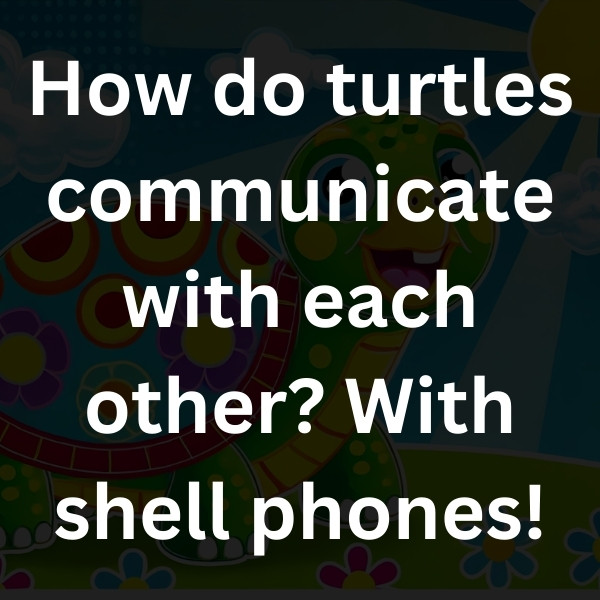 How do turtles communicate with each other