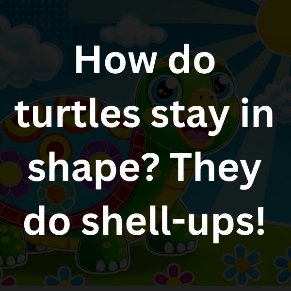 How do turtles stay in shape