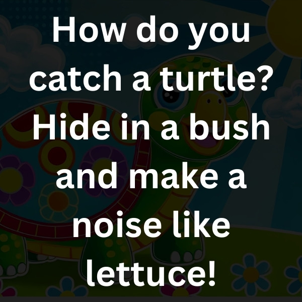 How do you catch a turtle