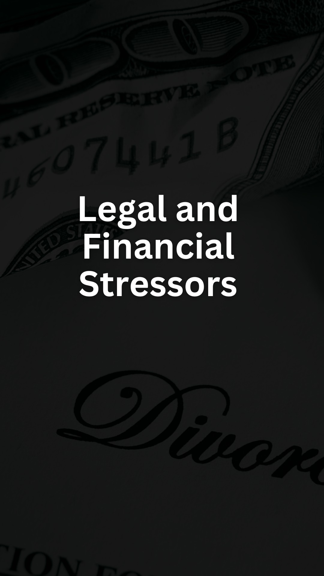 Legal and Financial Stressors