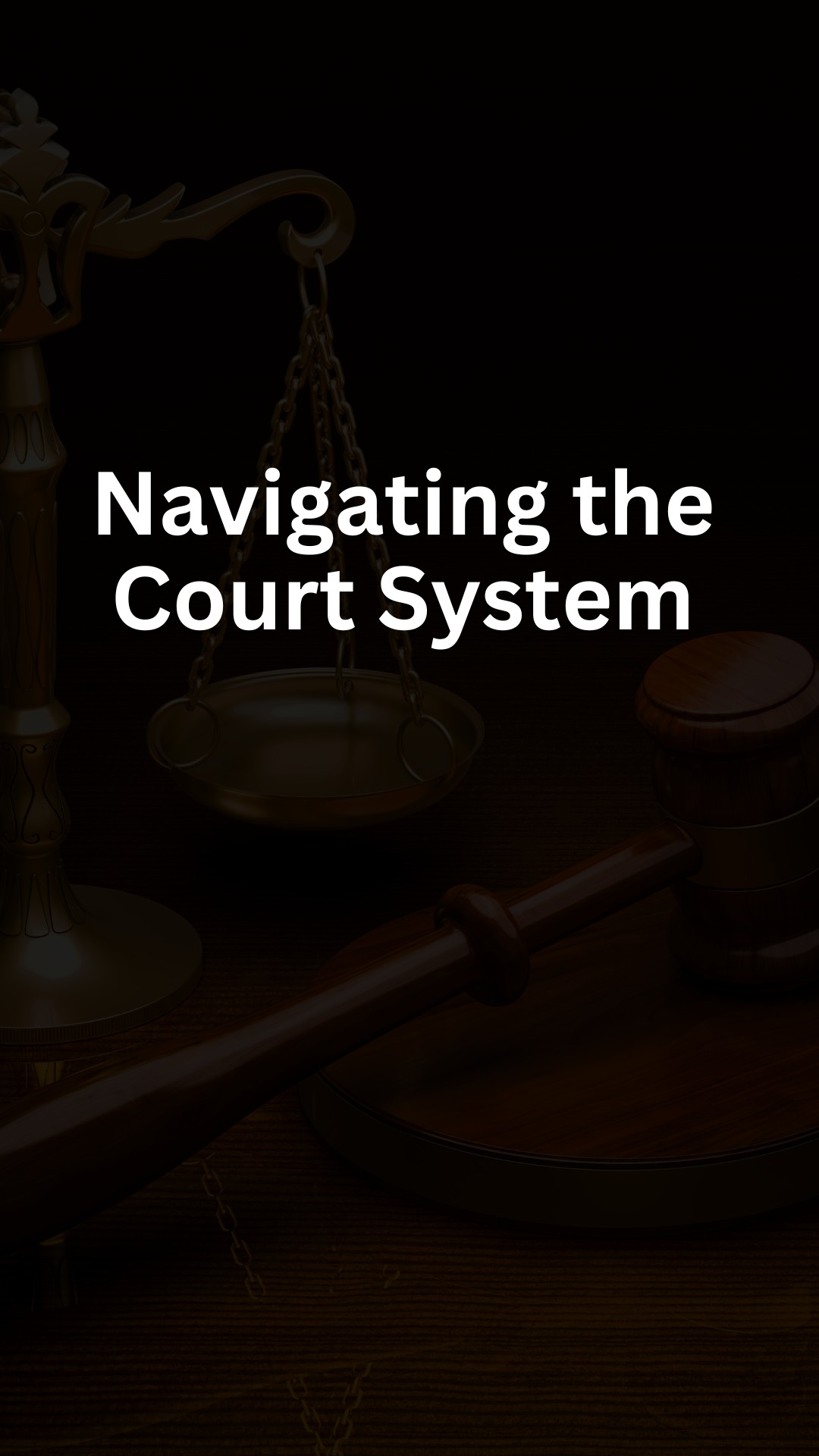 Navigating the Court System