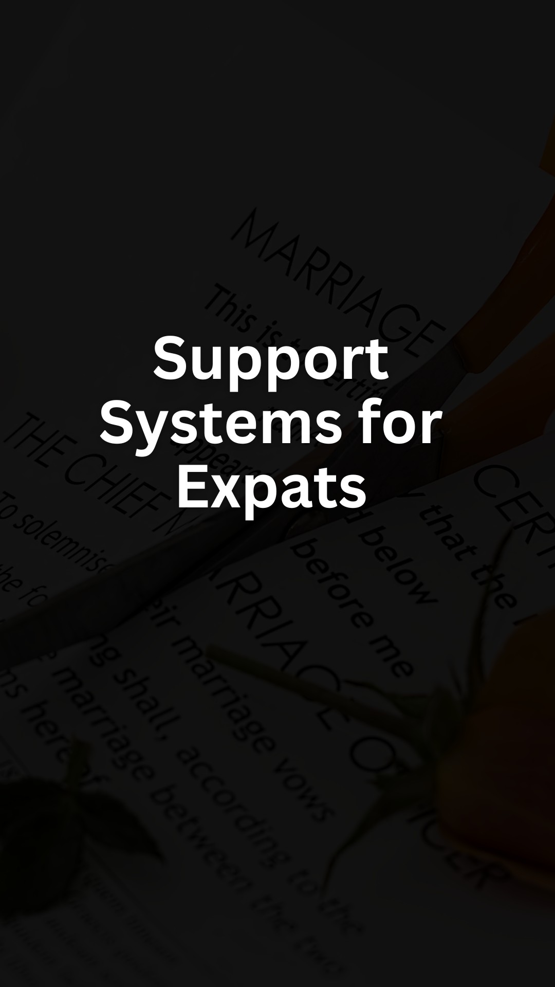 Support Systems for Expats