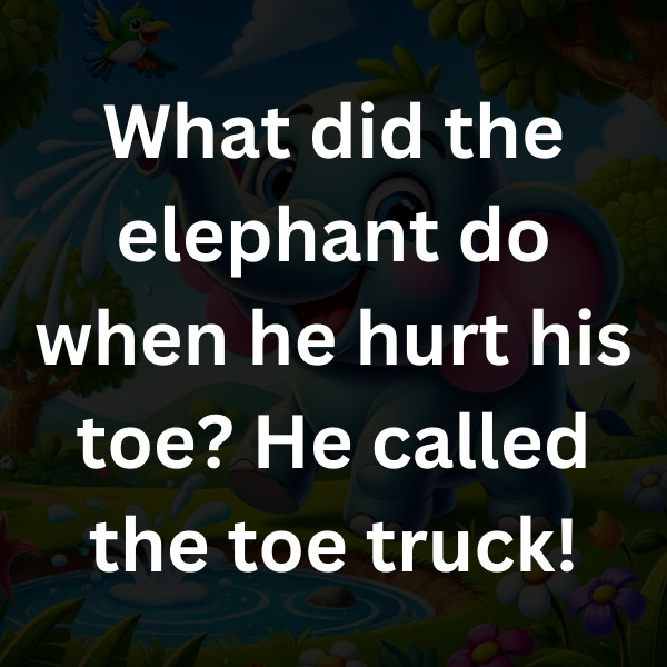 What did the elephant do when he hurt his toe_ He called the toe truck!