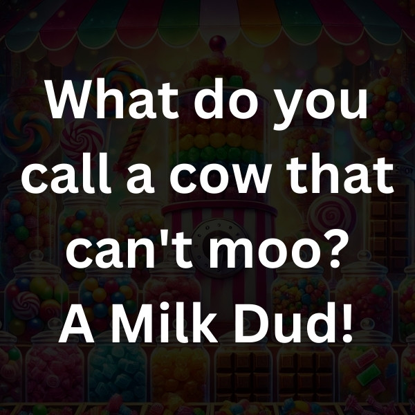 What do you call a cow that can't moo_ A Milk Dud!