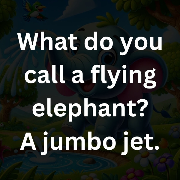 What do you call a flying elephant_ A jumbo jet