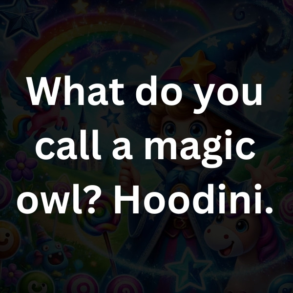 What do you call a magic owl_ Hoodini