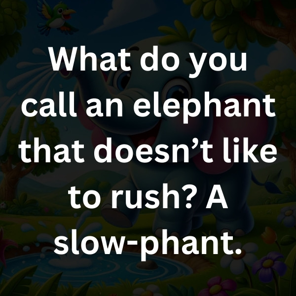 What do you call an elephant that doesn’t like to rush_ A slow-phant