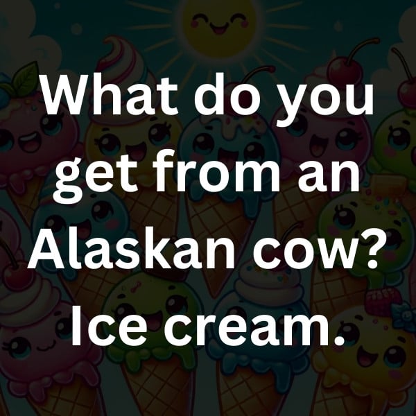 What do you get from an Alaskan cow_ Ice cream