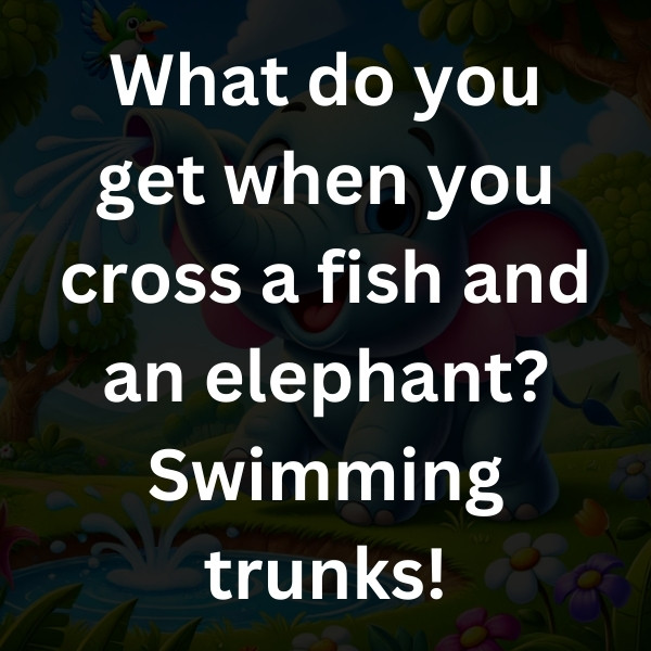 What do you get when you cross a fish and an elephant_ Swimming trunks!