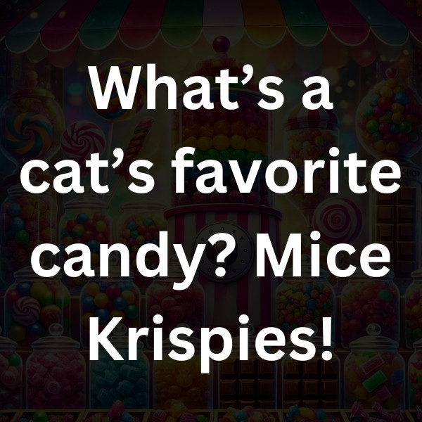 What’s a cat’s favorite candy_ Mice Krispies!