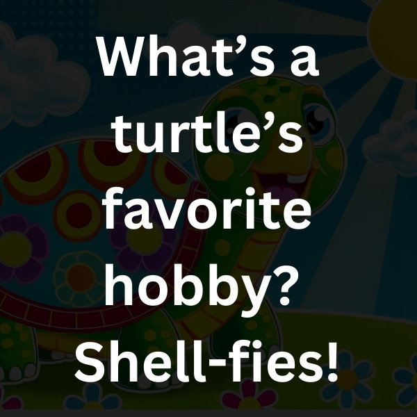 What’s a turtle’s favorite hobby