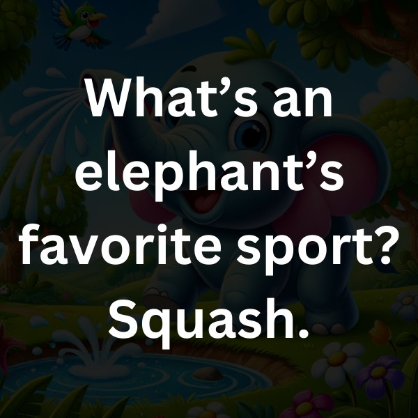 What’s an elephant’s favorite sport_ Squash