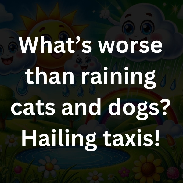 What’s worse than raining cats and dogs_ Hailing taxis!