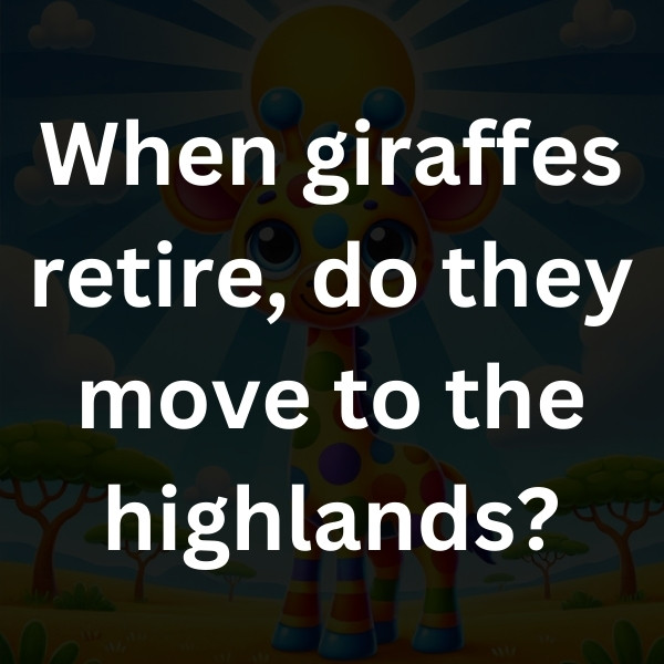 When giraffes retire, do they move to the highlands