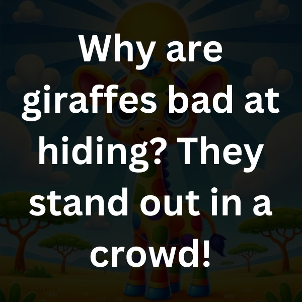 Why are giraffes bad at hiding_ They stand out in a crowd!