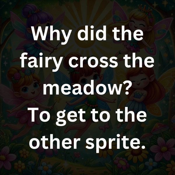 Why did the fairy cross the meadow_ To get to the other sprite