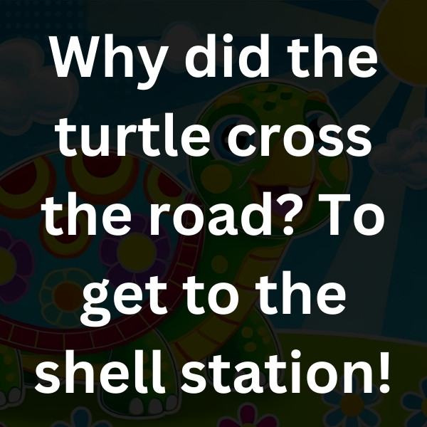 Why did the turtle cross the road