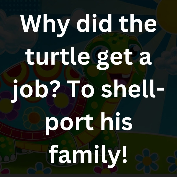 Why did the turtle get a job