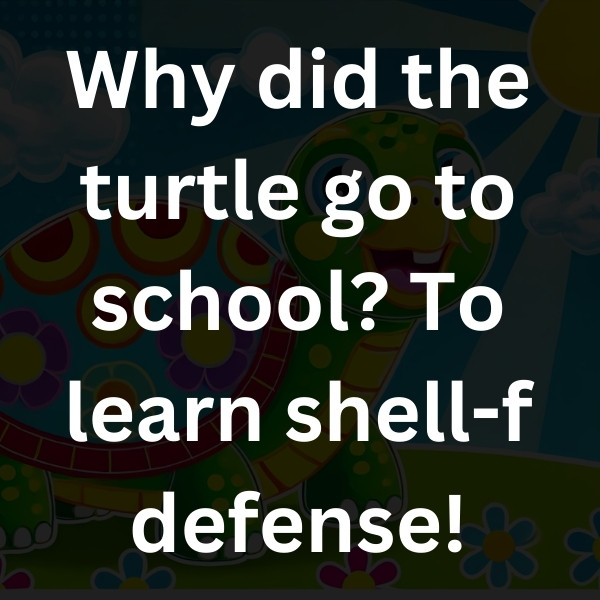 Why did the turtle go to school
