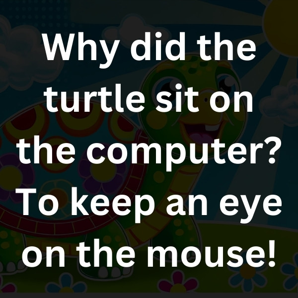 Why did the turtle sit on the computer