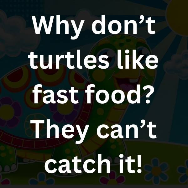 Why don’t turtles like fast food