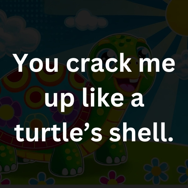 You crack me up like a turtle’s shell.