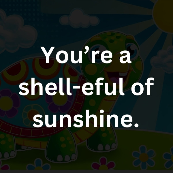 You’re a shell-eful of sunshine.
