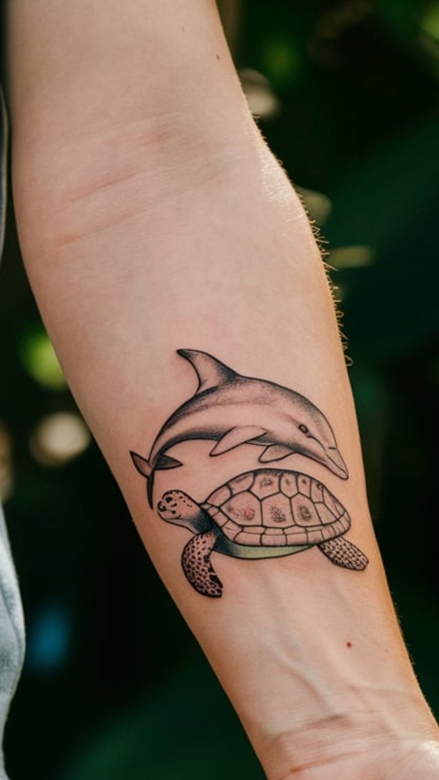 dolphin tattoo