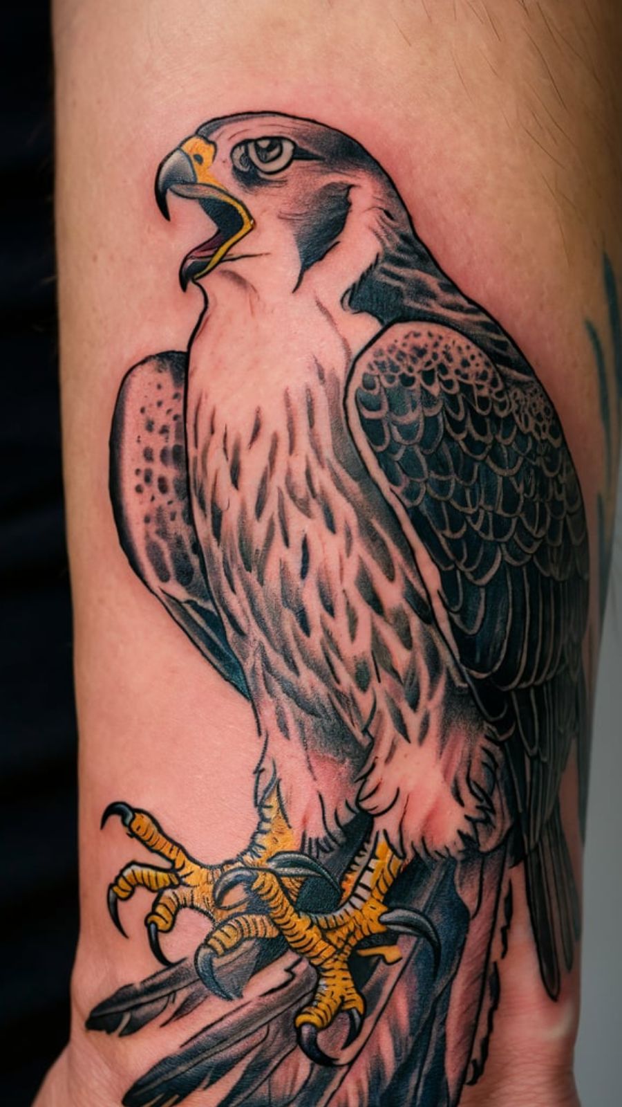 falcon tattoo